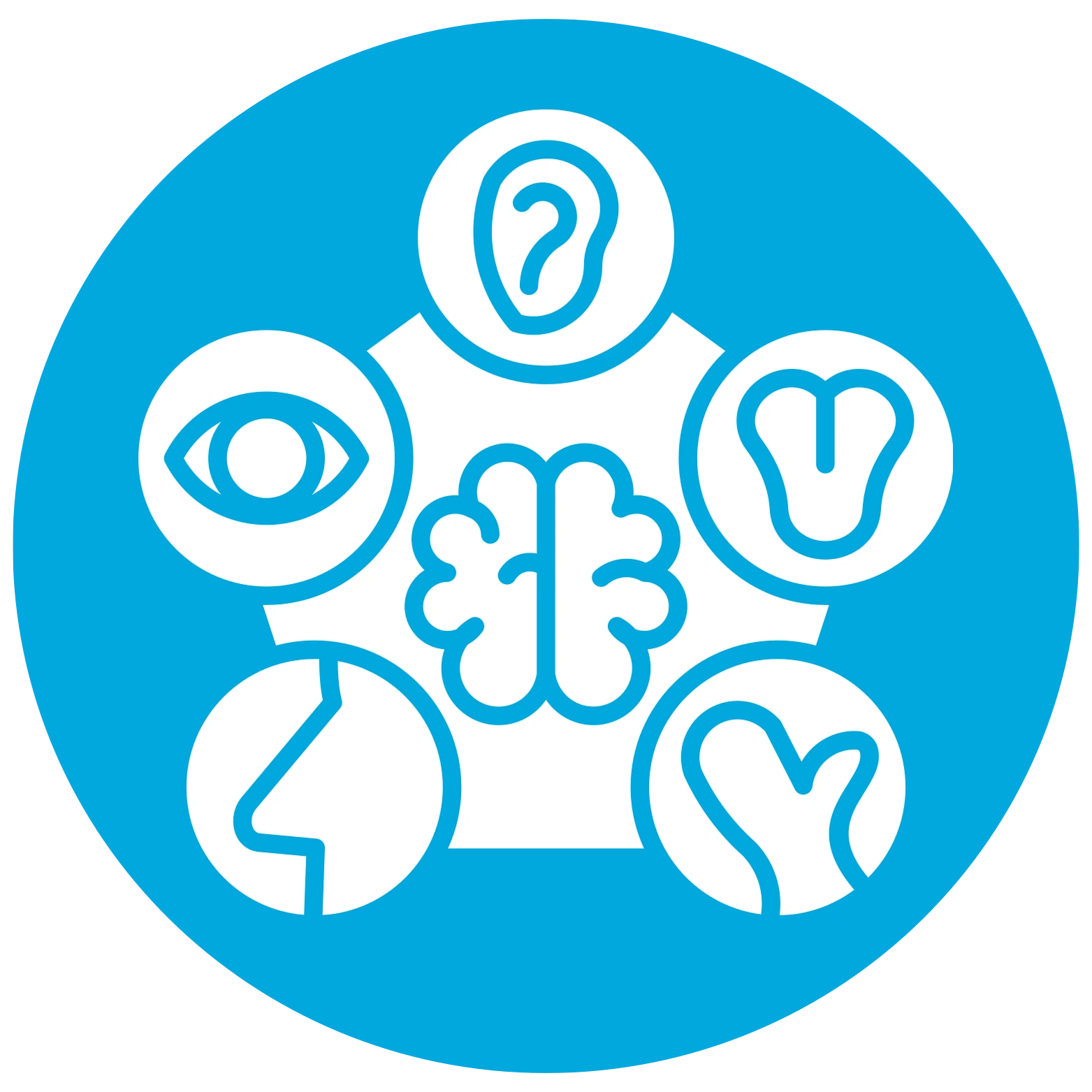 Cognitive Assessments Icon